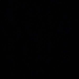 Meet your Posher, Ameet